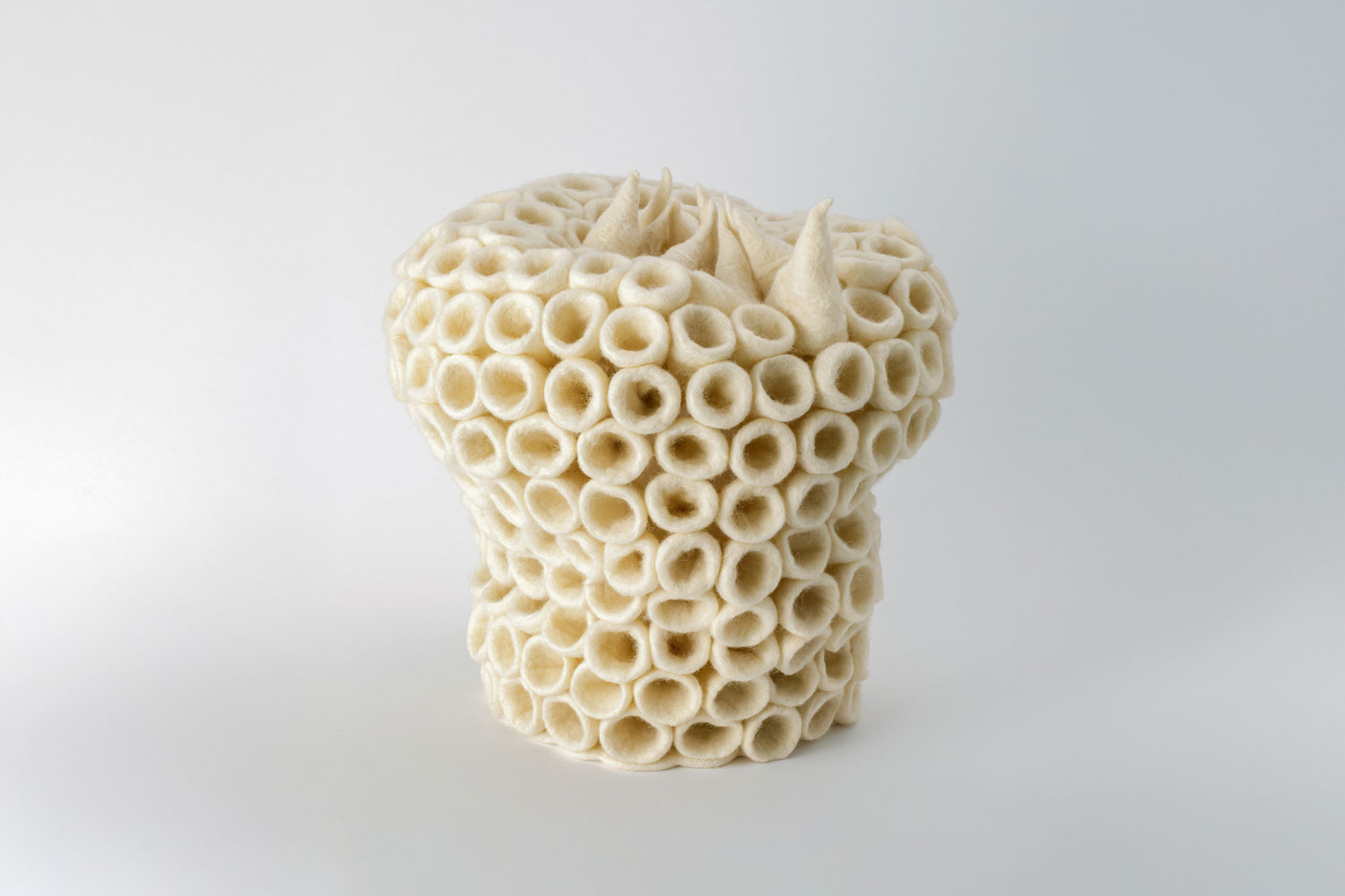 Cinzia Li Volsi Organism: Origin of The Species