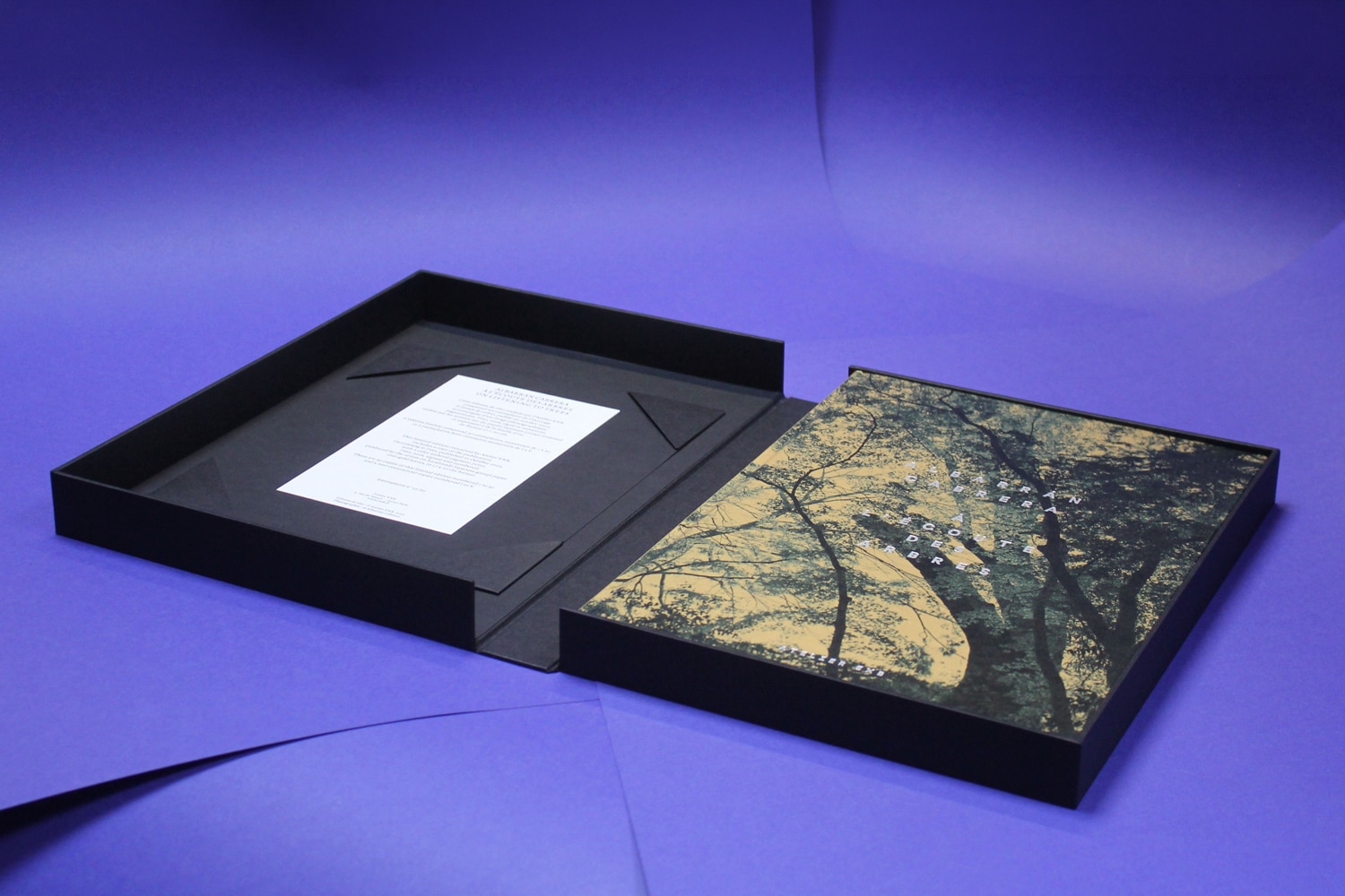 Anne-Claire Fessard Custom-made box without squares