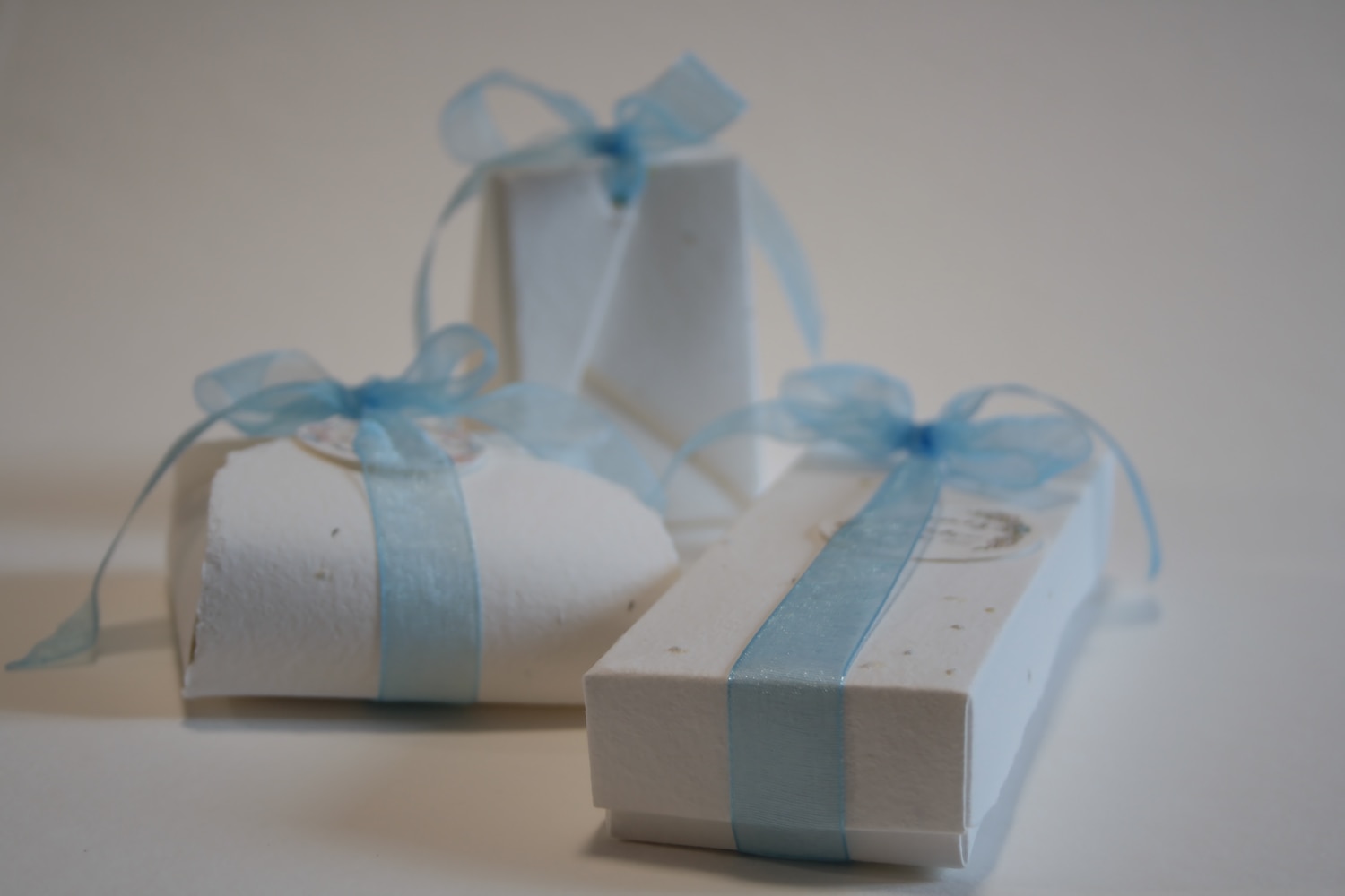 Marco Castellini & Michela Bertanza Plantable paper boxes