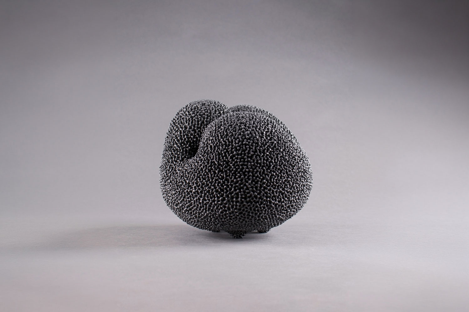 The Twilight Landscape