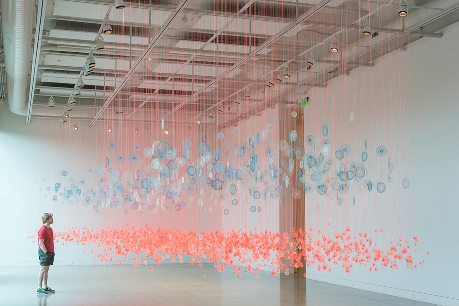 Amanda McCavour Pink Field, Blue Fog