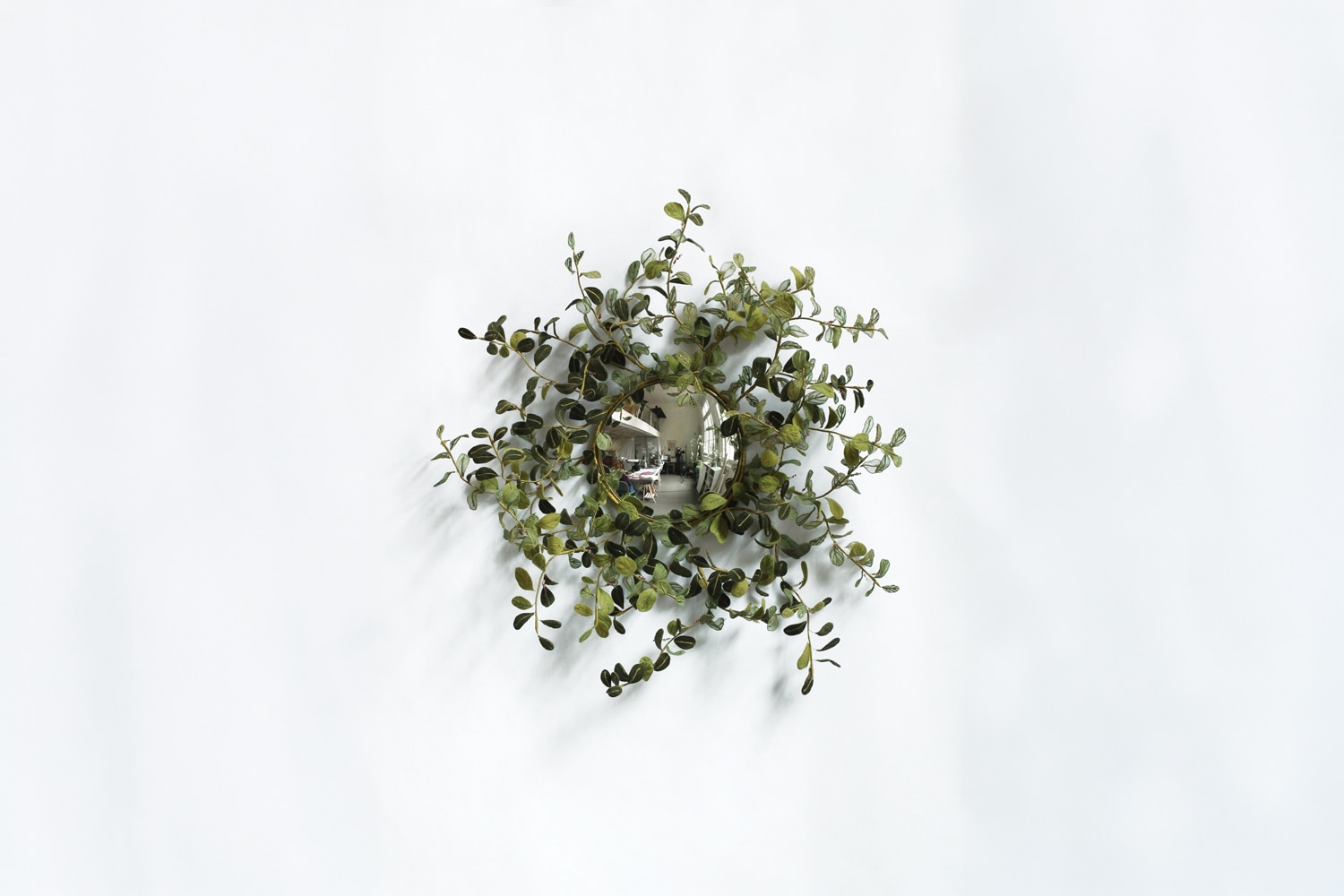 Julie Percillier Ronde de saule