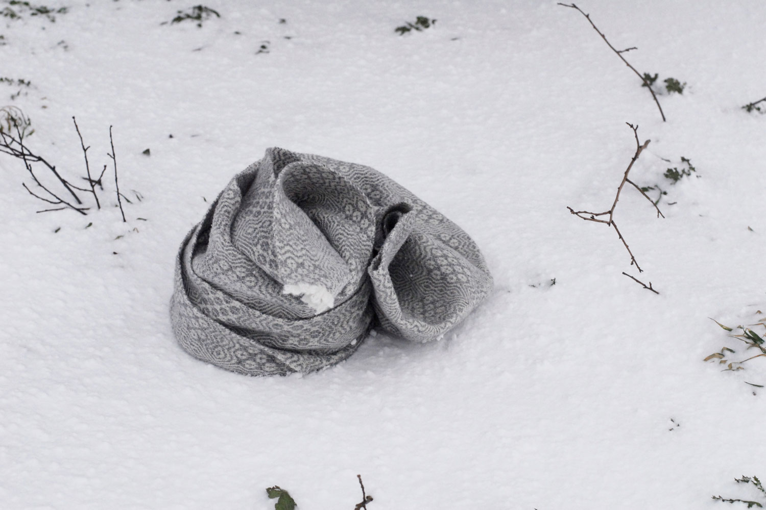 Ikumi Otaki Flower Garden
