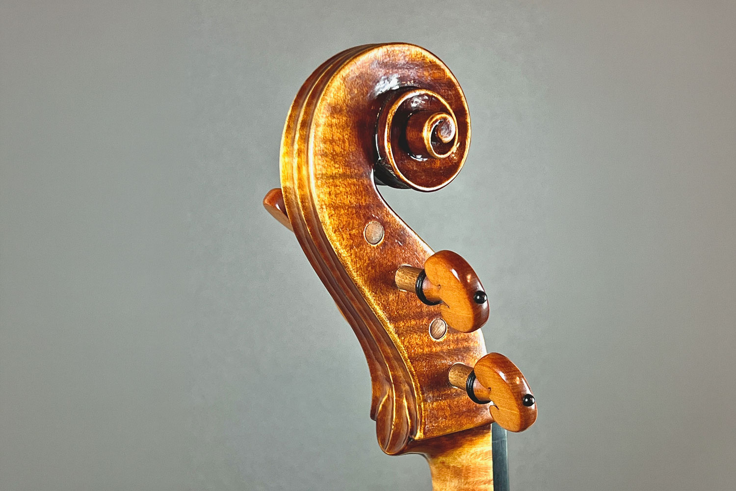 Bernard Bossert Head of Viola 2025