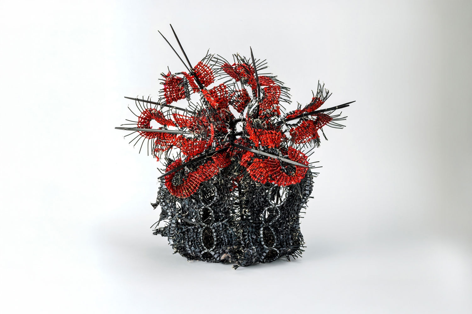 Cinzia Li Volsi Vermilion