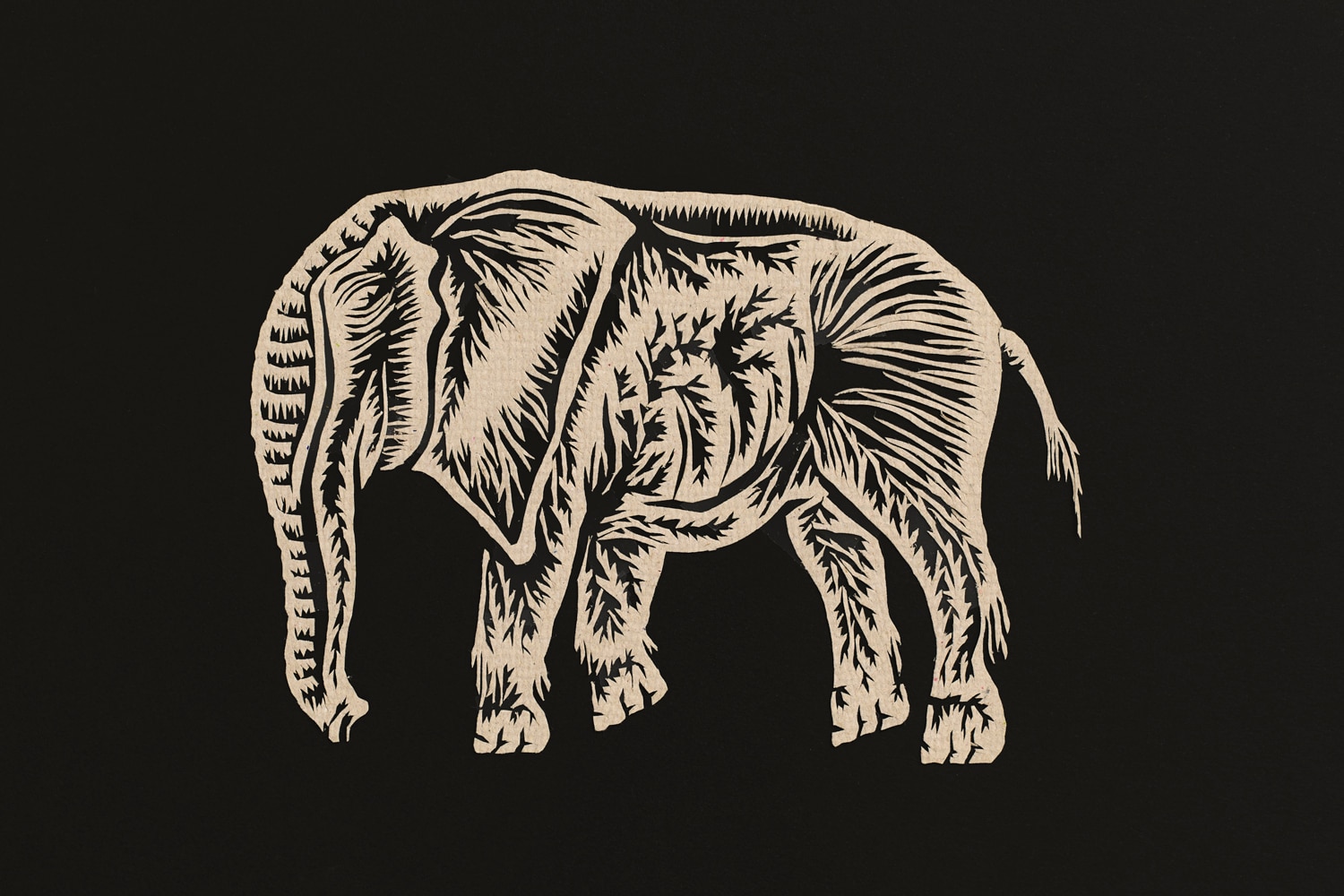 Yoshihiro Watanabe Elephant