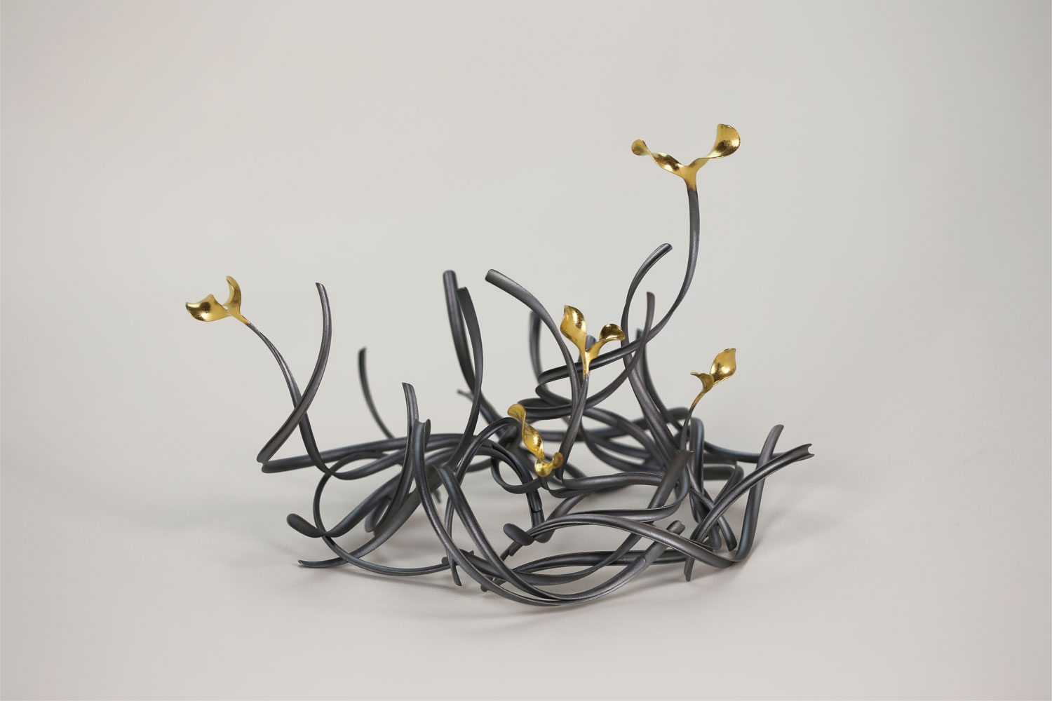 Chao-Hsien Kuo When The Spring Comes 2