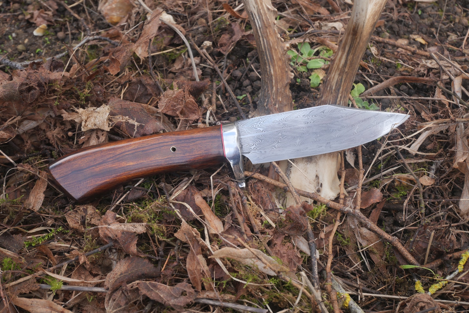 Yann Petit Hunting Dagger