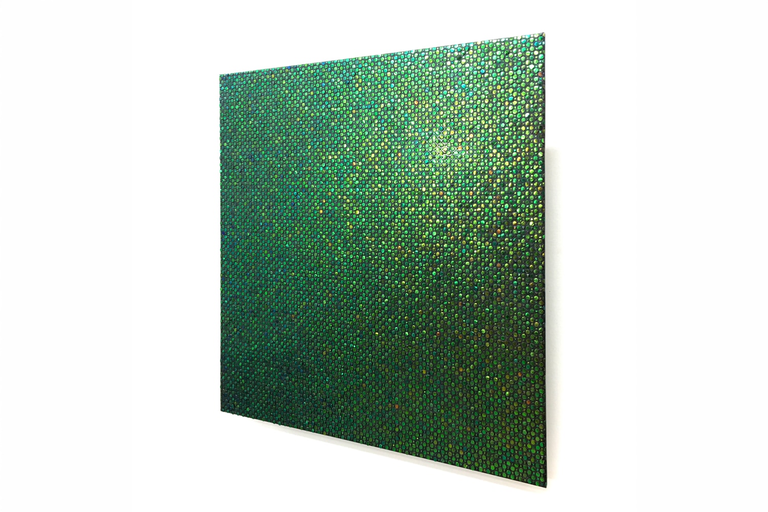 Toyoumi Kenta Jewel Beetle