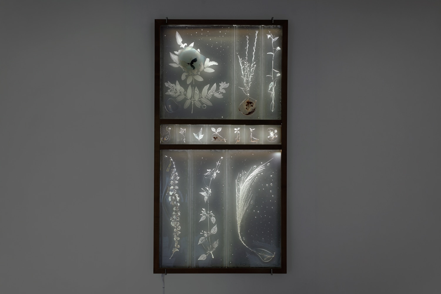 Rui Sasaki Subtle Intimacy