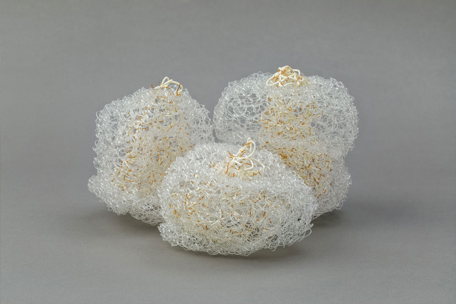 Cinzia Li Volsi Origin of The Visible, Invisible Species