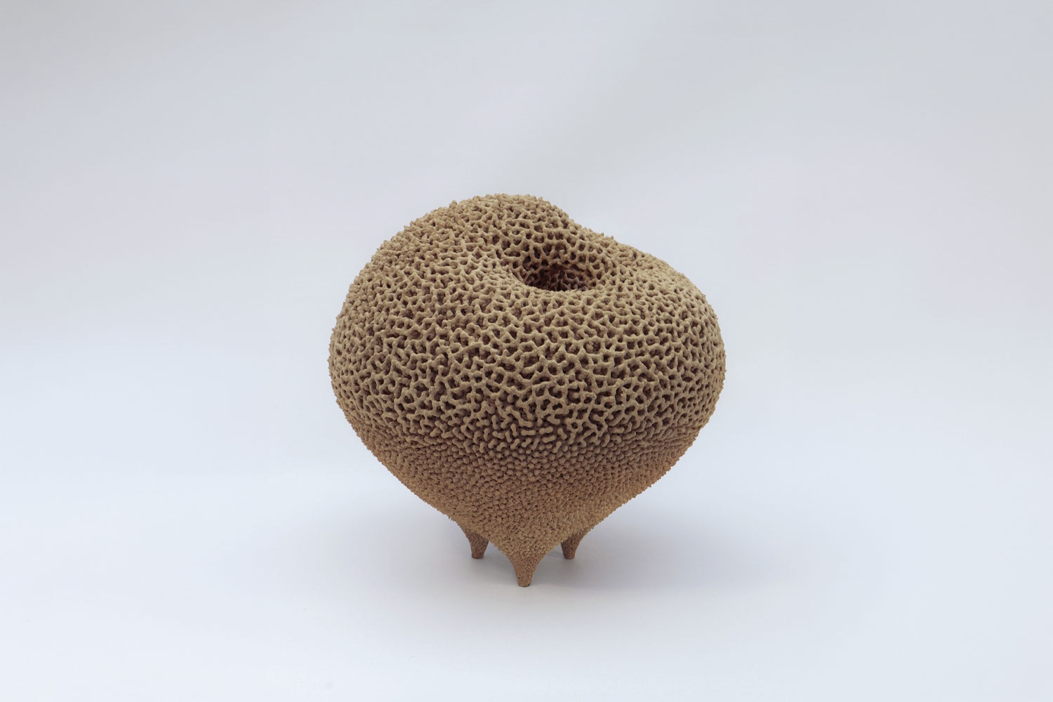 The Autumn Landscape