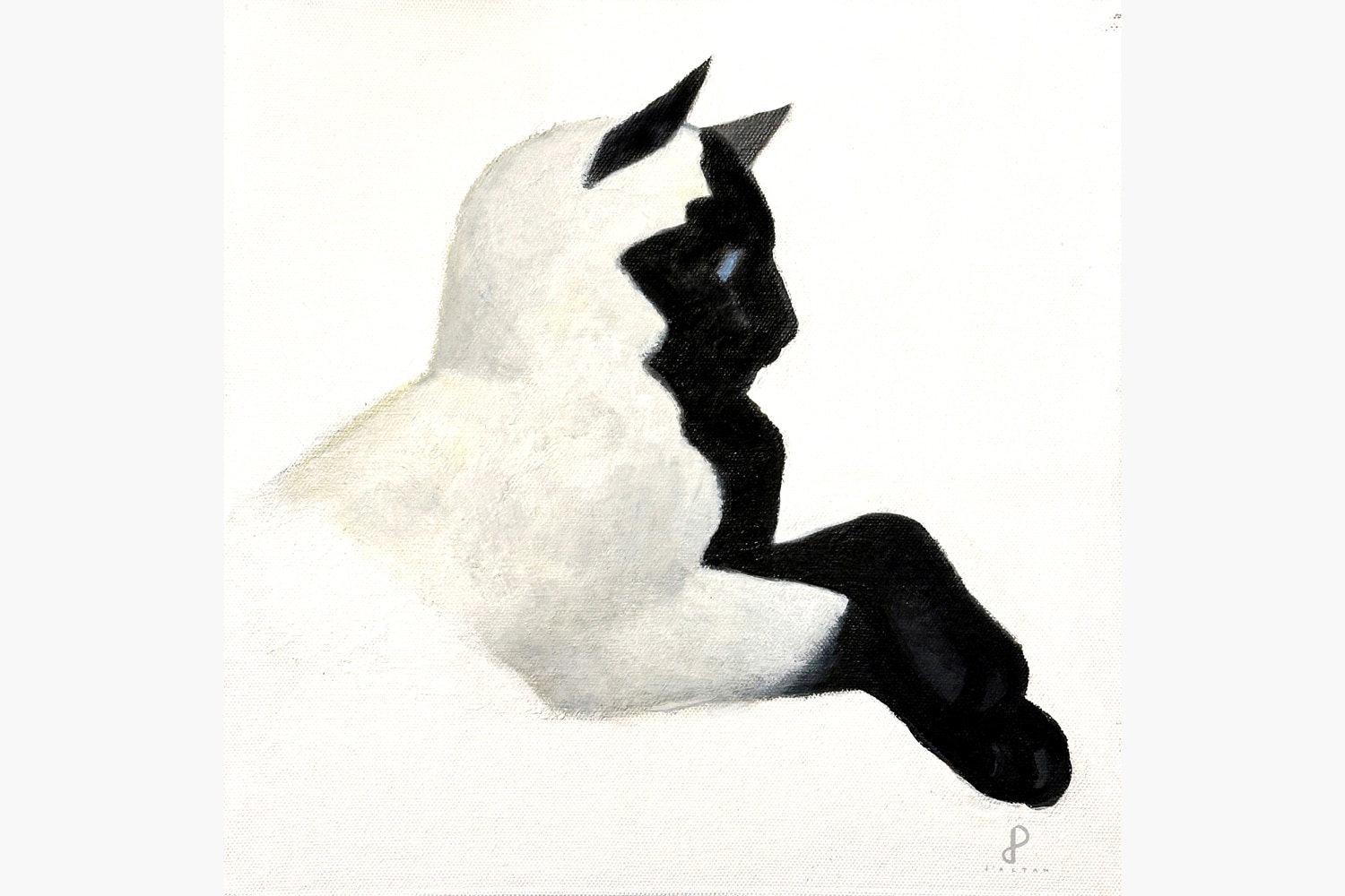 Paolo D'Altan Kind cat