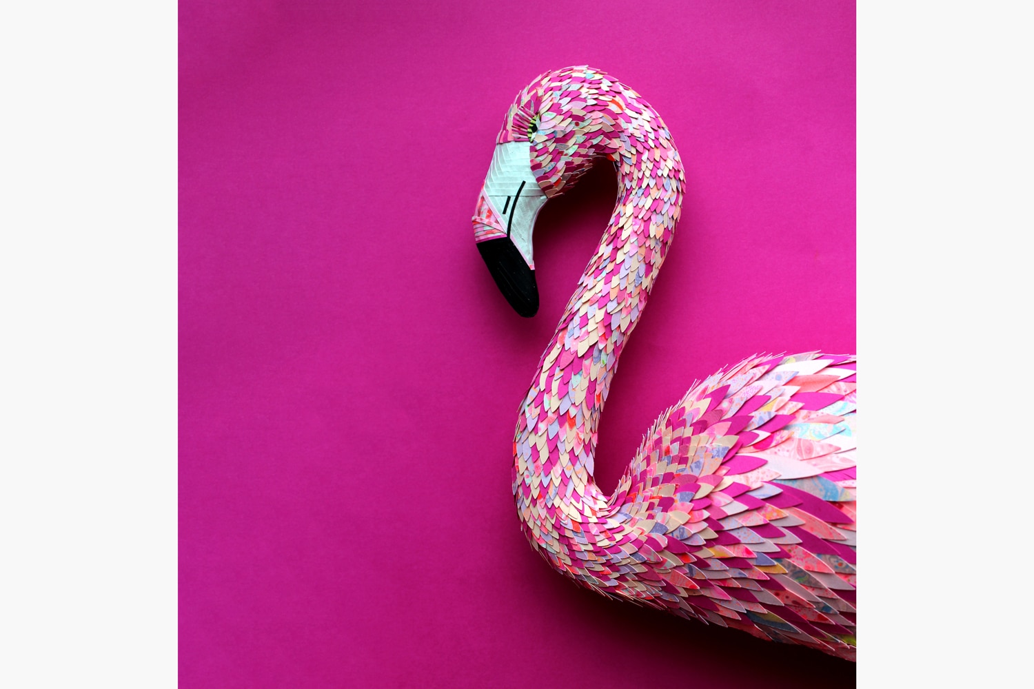 Samantha Quinn Flamingo