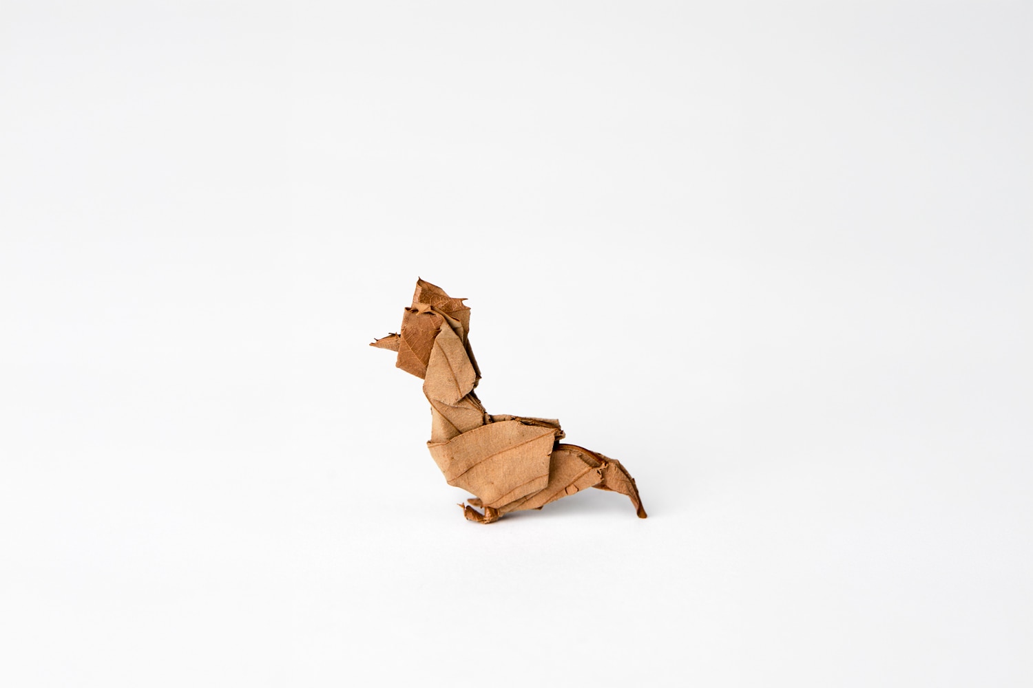 Yoshihiro Watanabe Bird