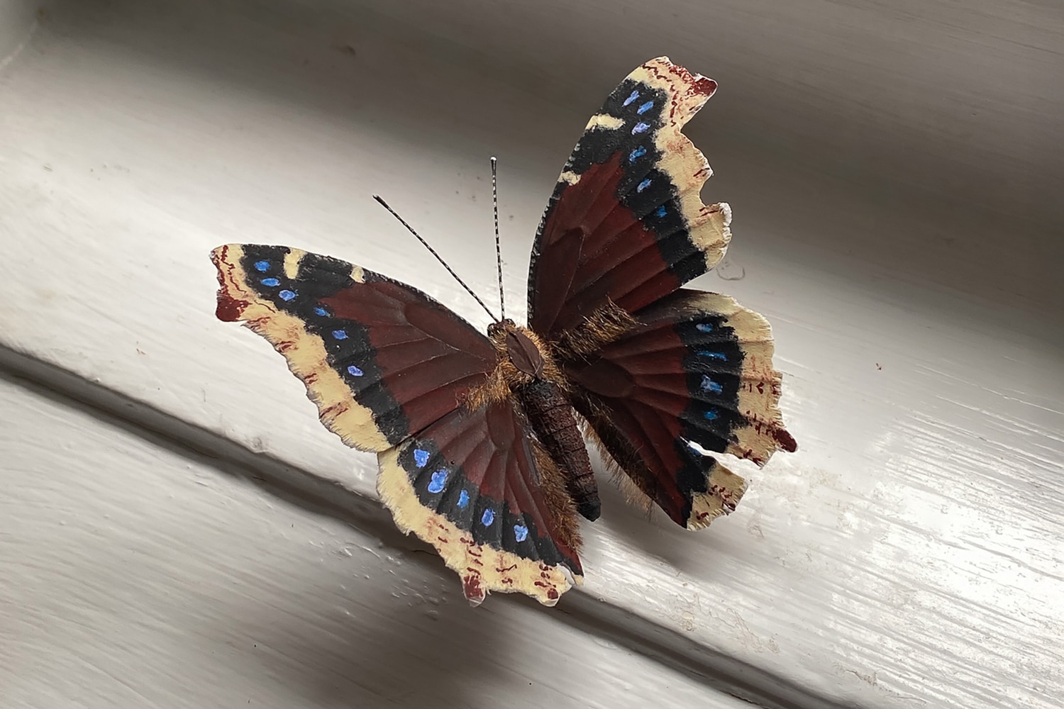 Kathryn Bondy Mourning Cloak Butterfly