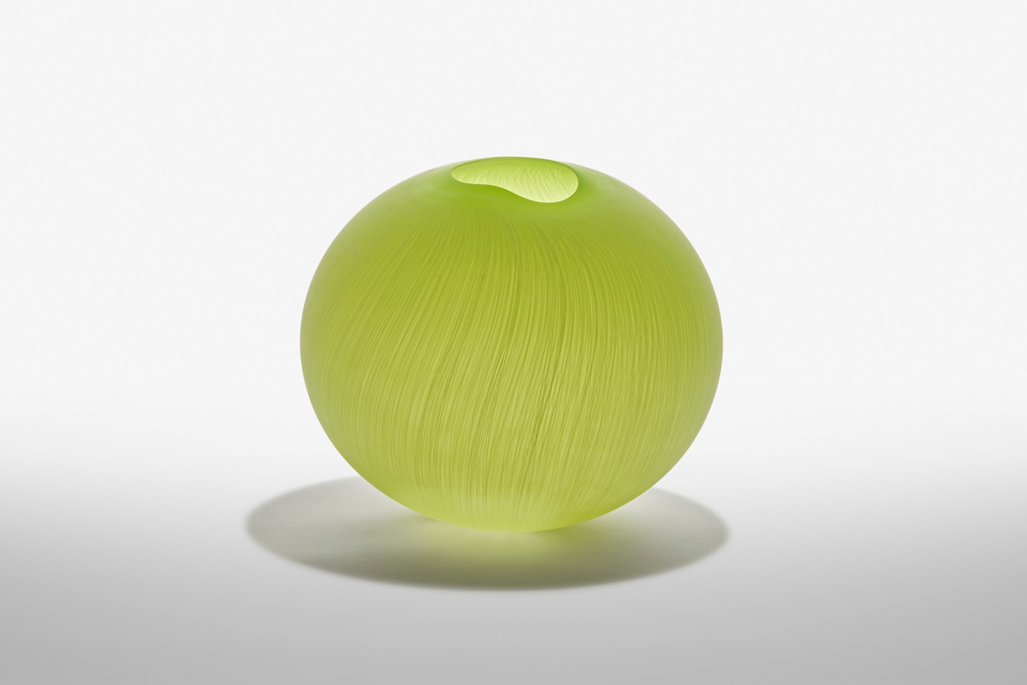 Taehoon Lee The dandelion seed of spring (Green)