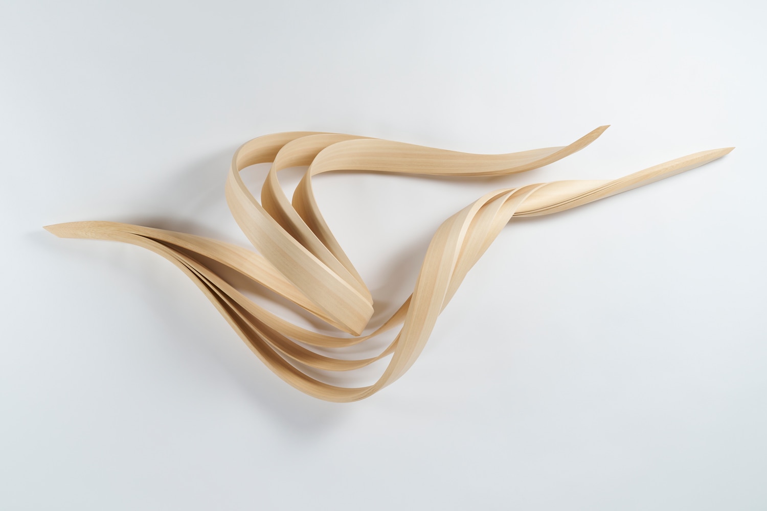 Shogo Watari Sudden Wind
