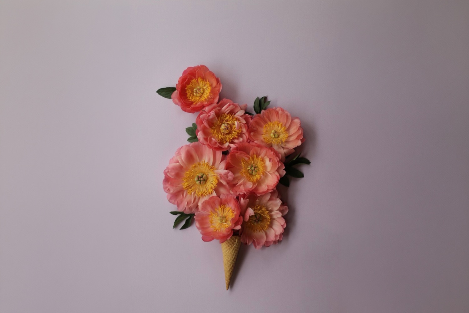 Audrey Oh Peony Ice Cream