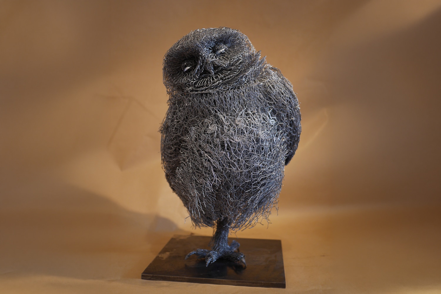 Little Owl – Athene noctua