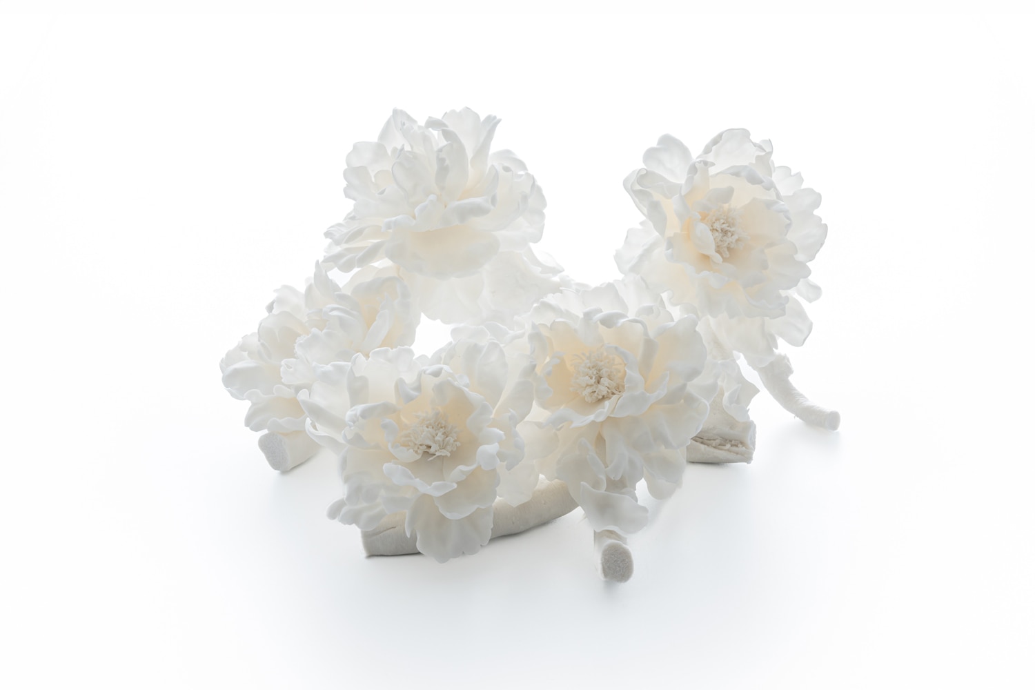 Peony reverie