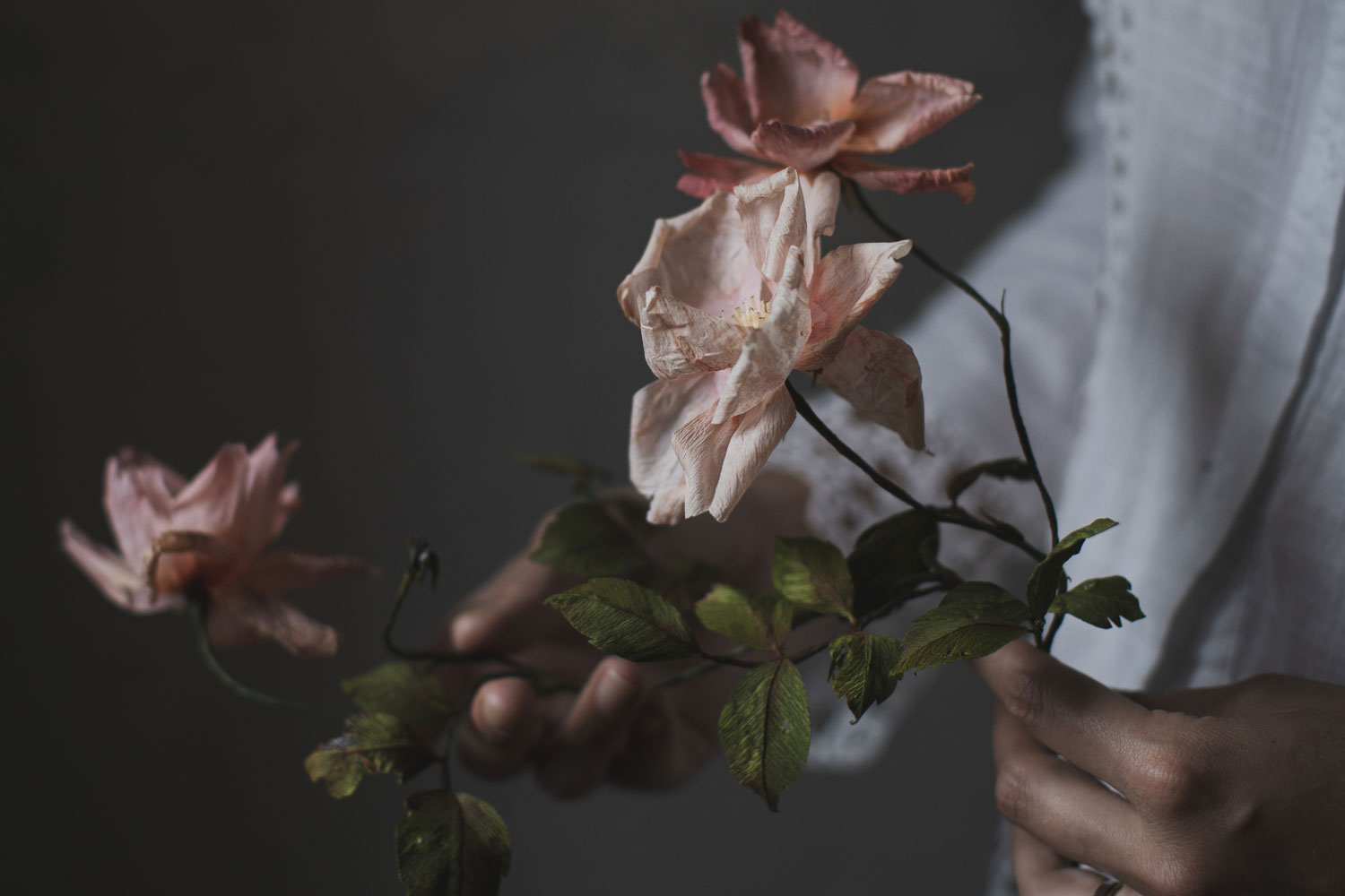 Juliana Stolberg Take part in a paper flower studio tour in Venice