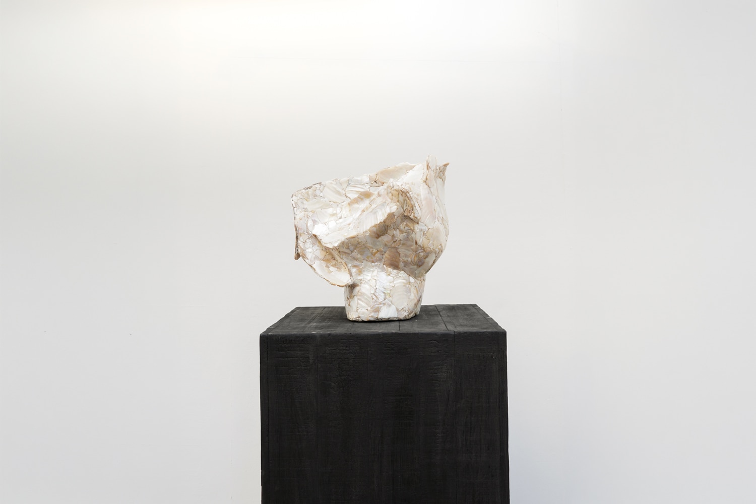 Inderjeet Sandhu Tidal Fragments