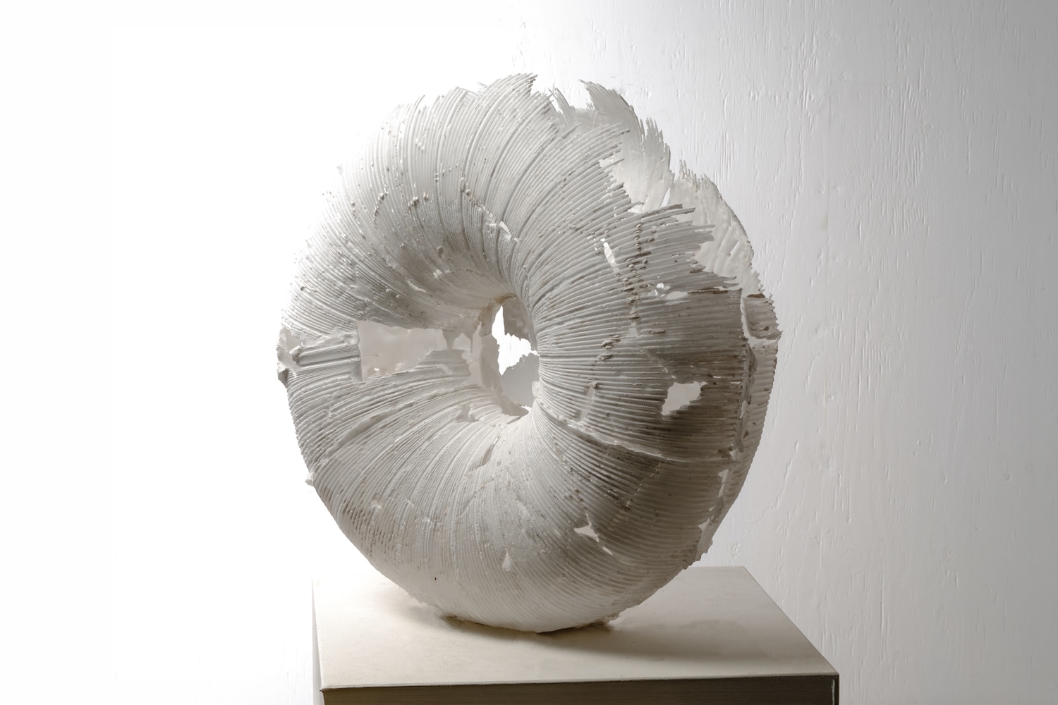 Maki Imoto White Torus of Powder