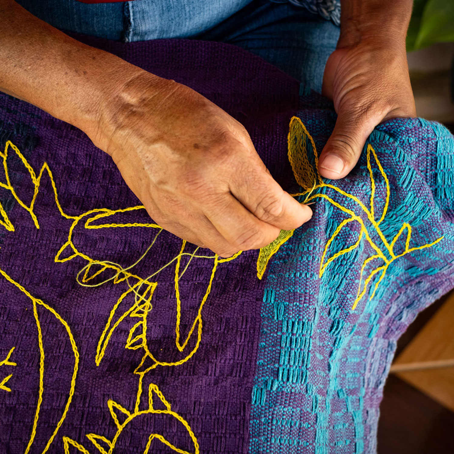 Instituto Renato Imbroisi