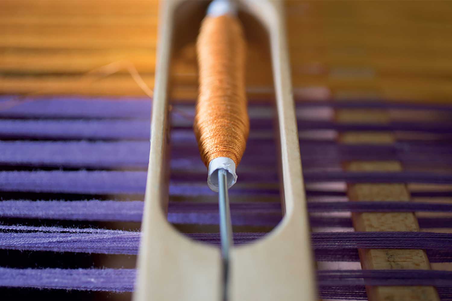 Ptolemy Mann