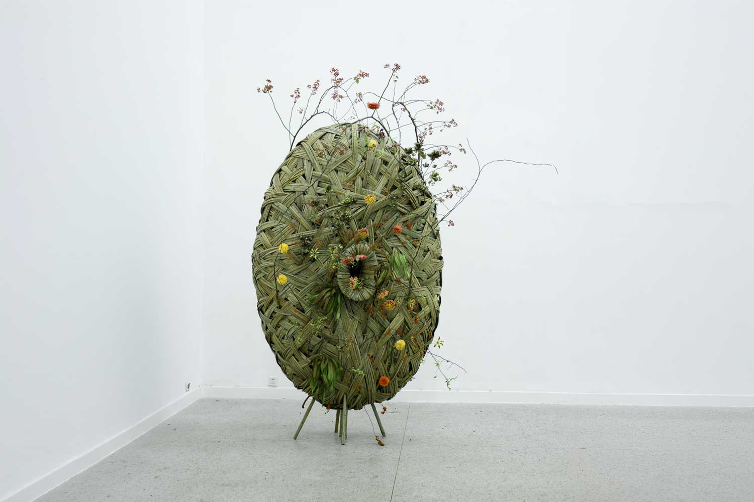 Qianchen JING 景千晨 Interwoven Growth
