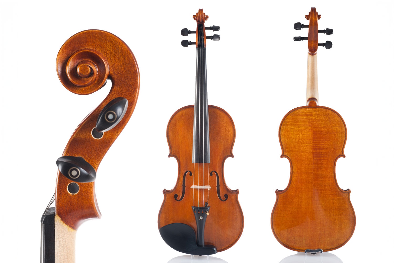 Pavel Skaza A Violin Crafted for Competition, Poznan 2011