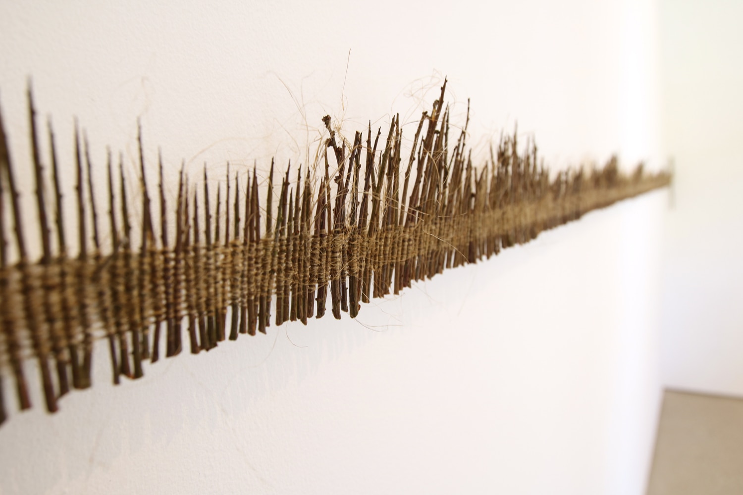 Alice Fox Hedge