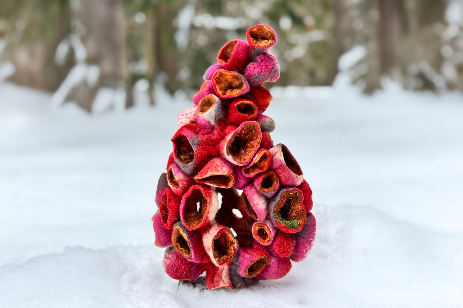 Yvonne Iten-Scott Woolly pods