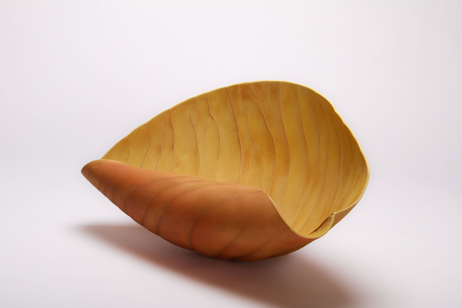 Paula Murray The Sun Continues to Rise