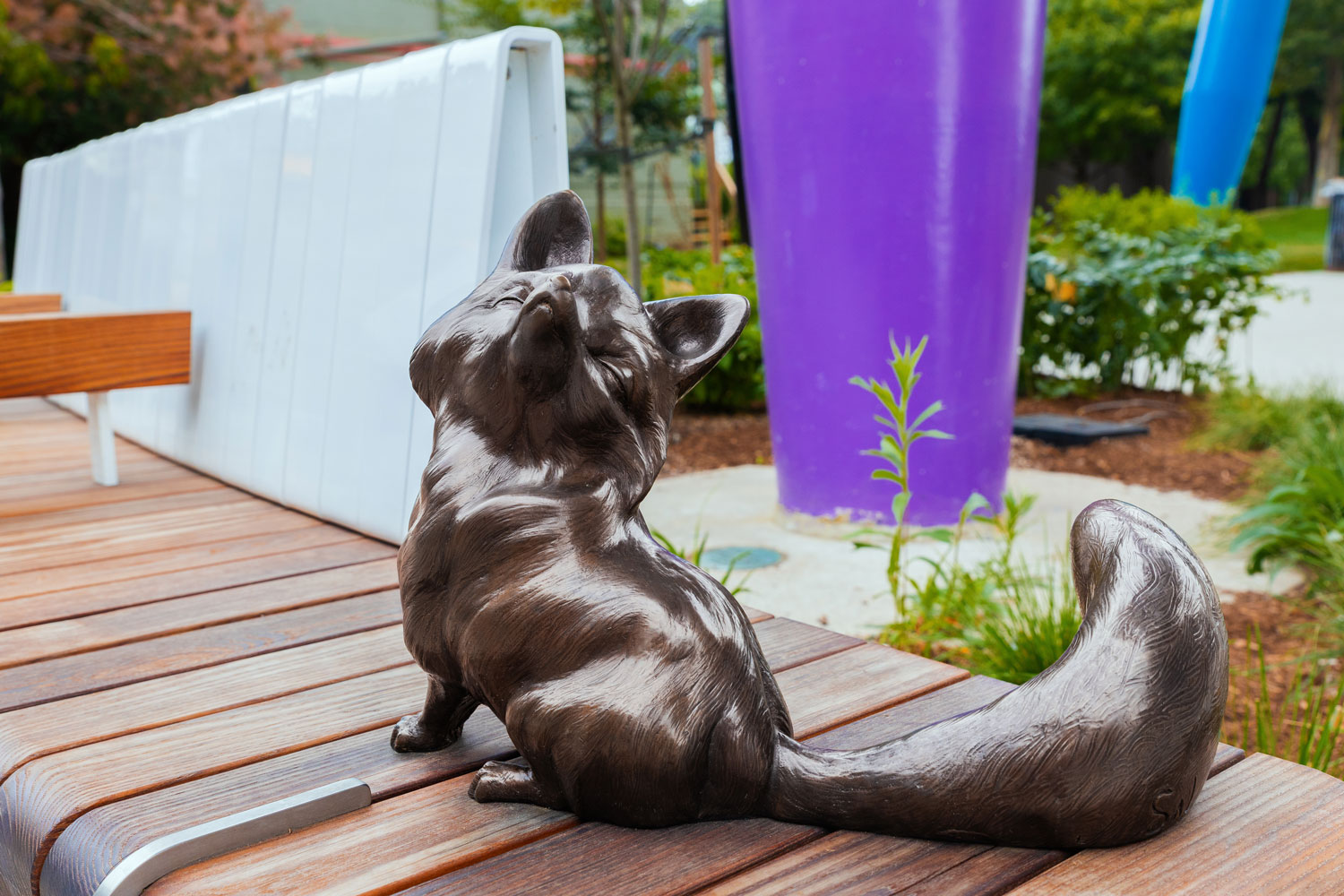 David Constantino Salazar Fox