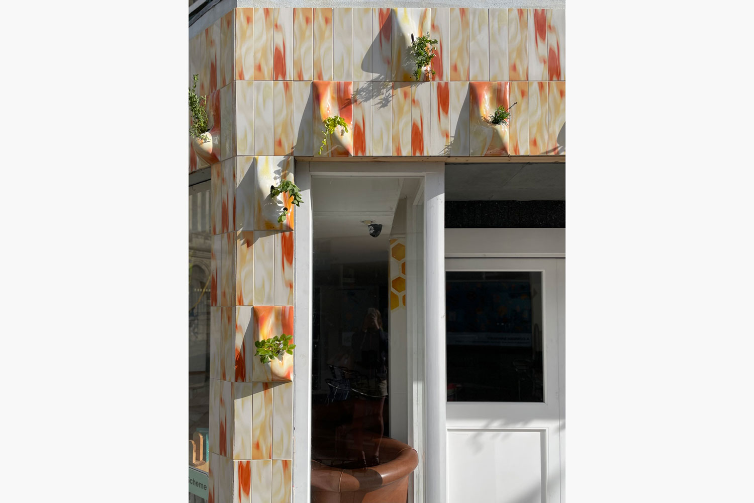 Charlotte Moore Edible hinterlands