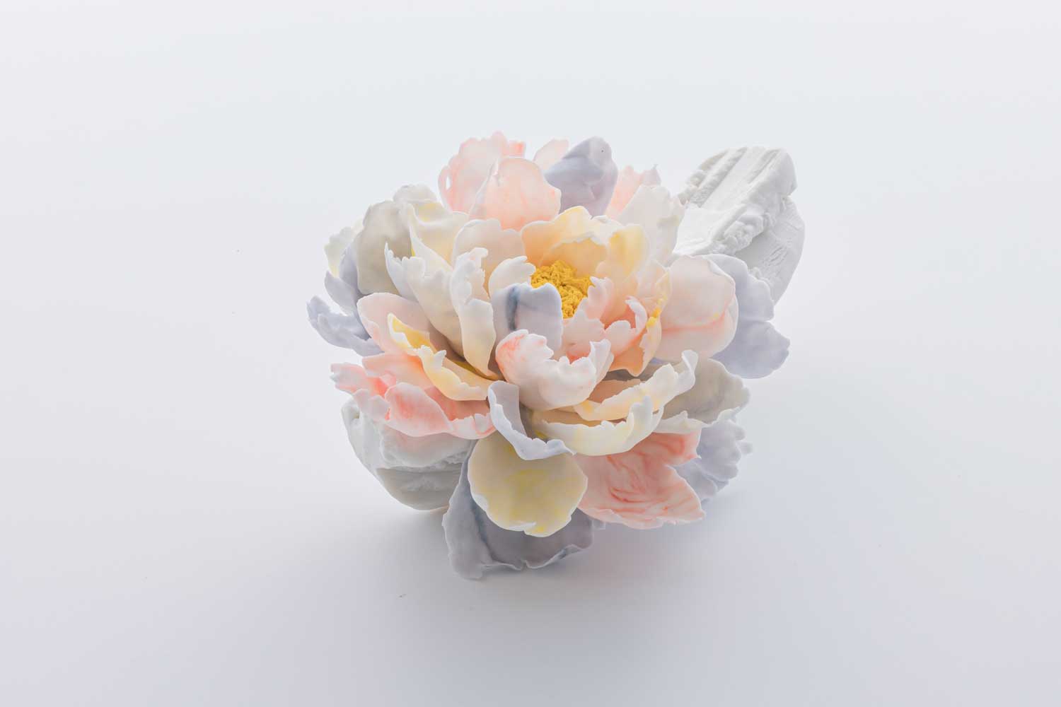 Marbled Whisper of Peony