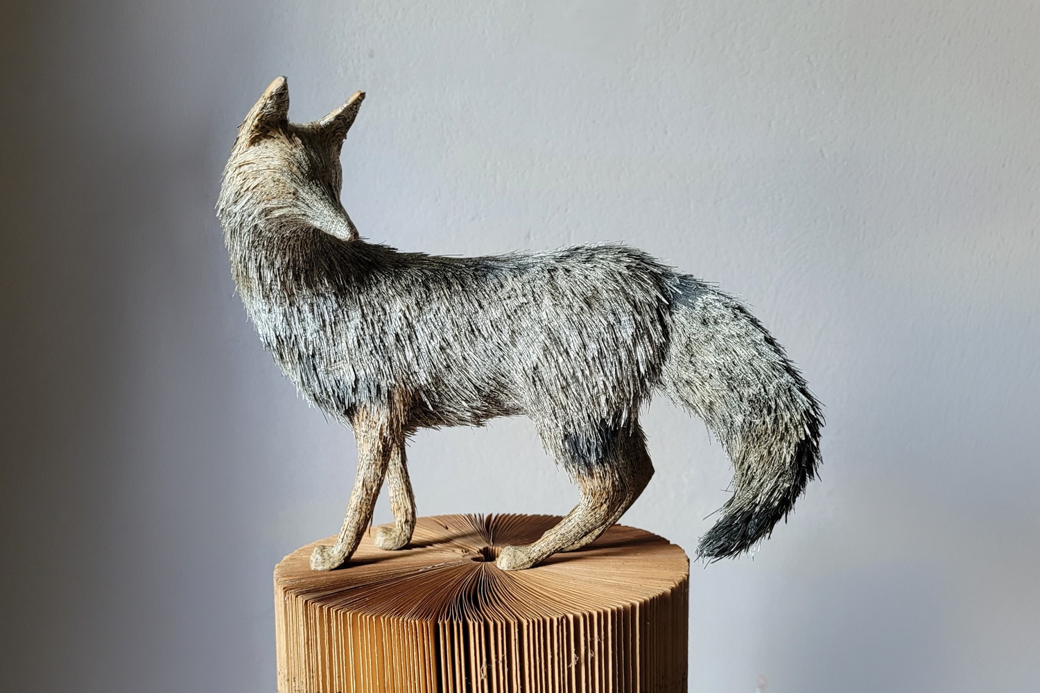 Josefina Stagnaro Grey Fox