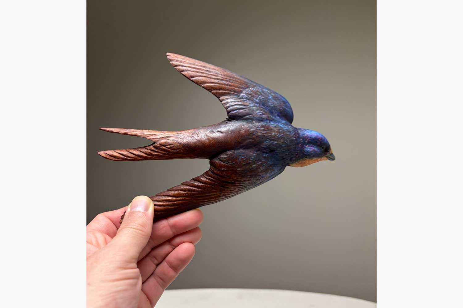 Chris Wilson Barn Swallow