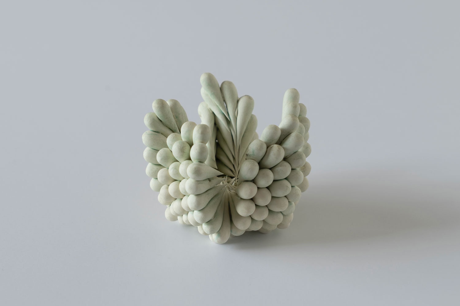 Mitsuru Mochizuki Syconium