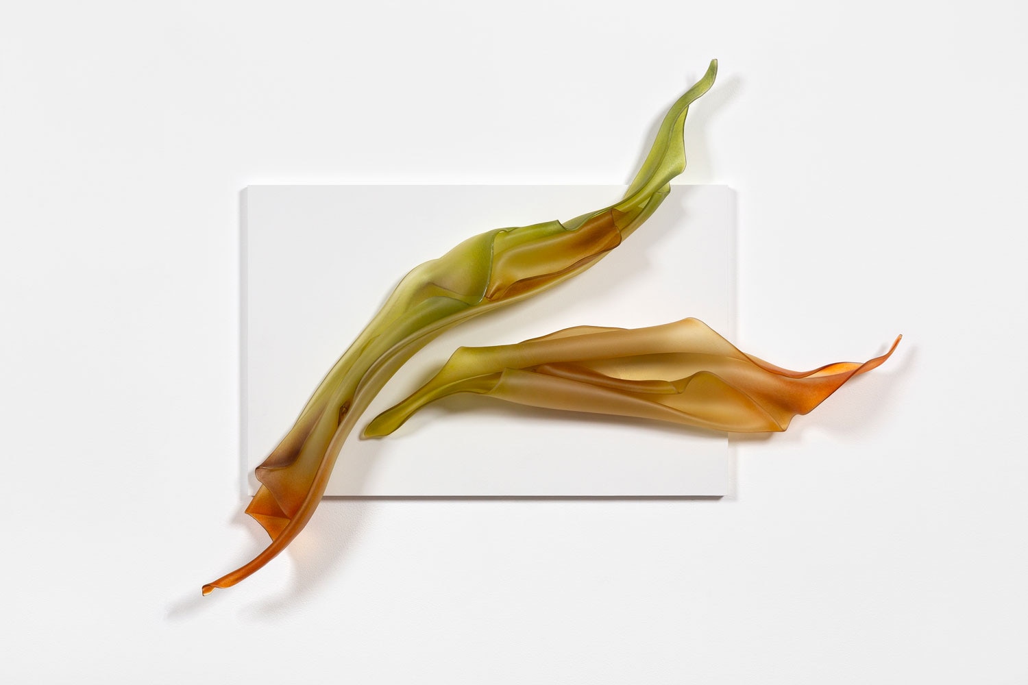 Kirstie Rea Of gesture and nature 1