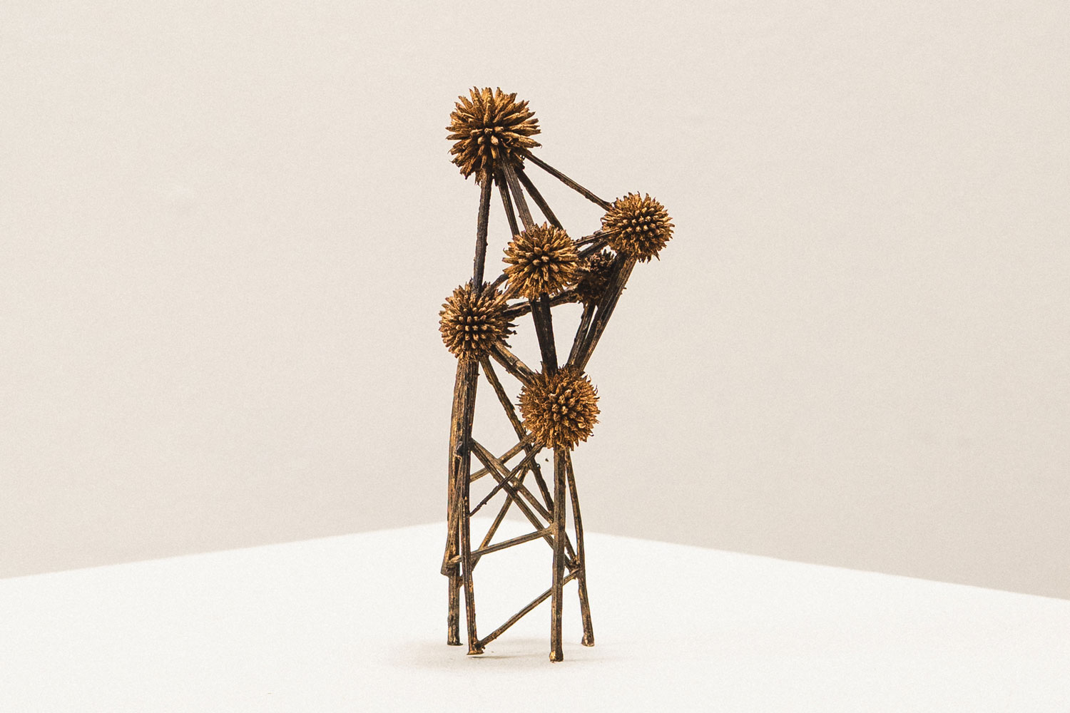 Thistle constellation by Robyn Neild