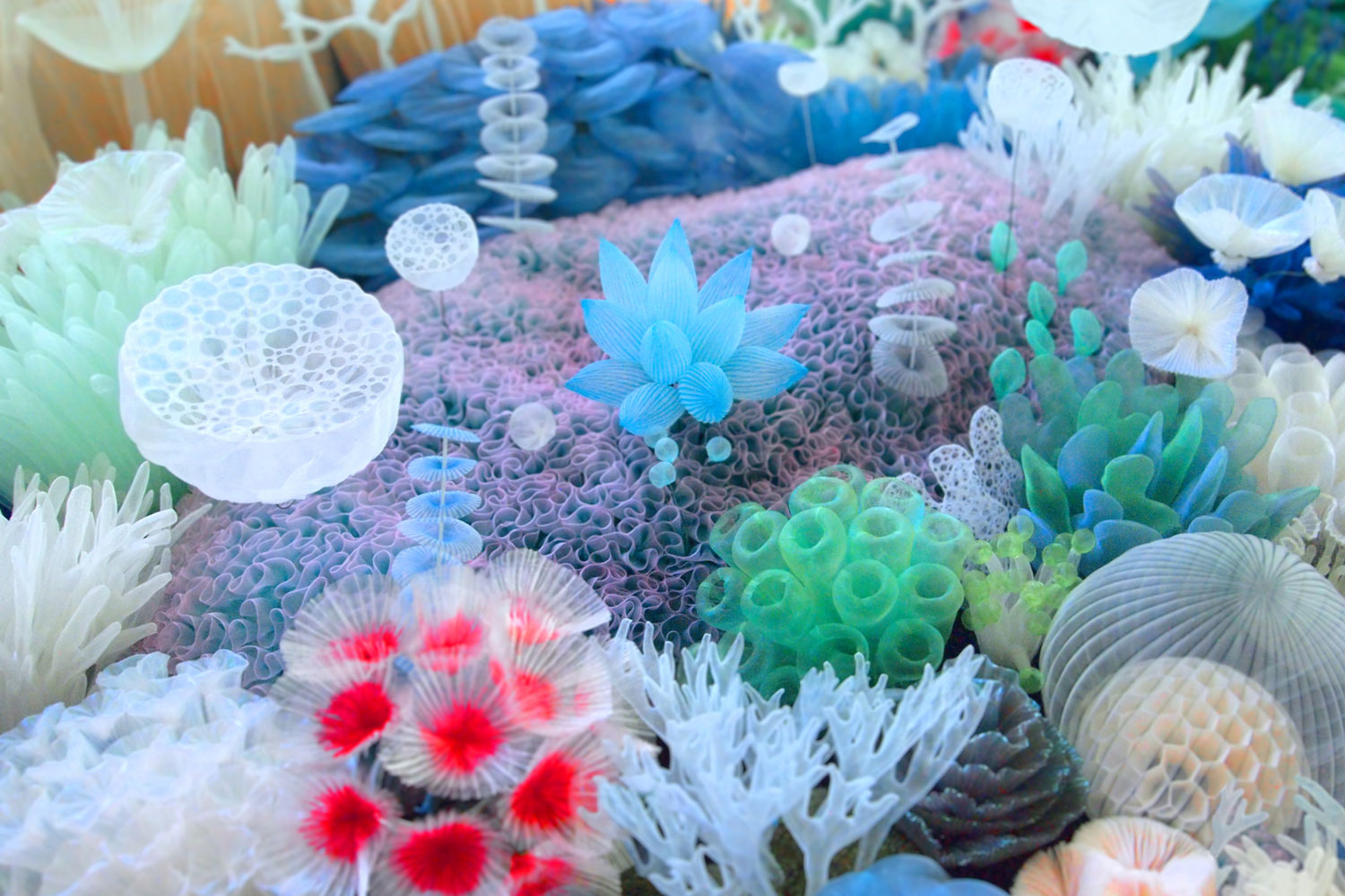 Mariko Kusumoto Sea Bed series 1
