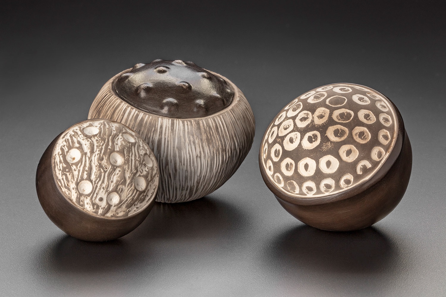 Paula Shalan Trio of smoke fired seedpods