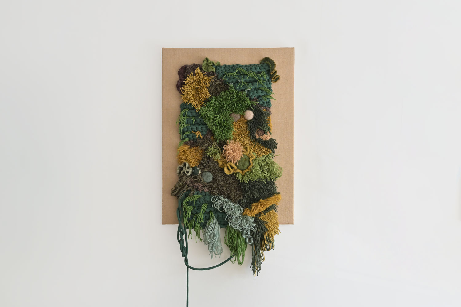 Sandra Resende Moss layered-time
