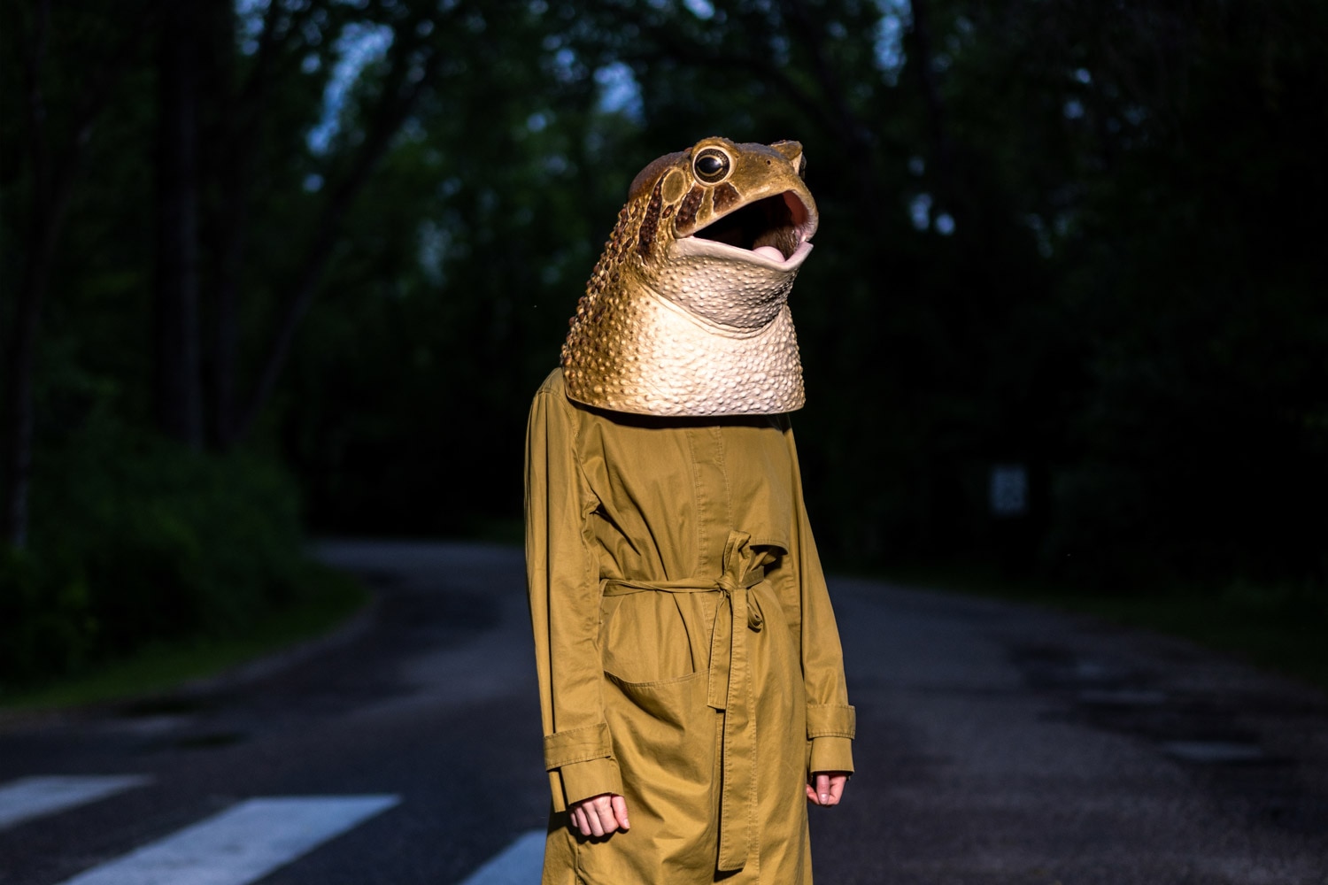 Liz Sexton Easter American toad mask