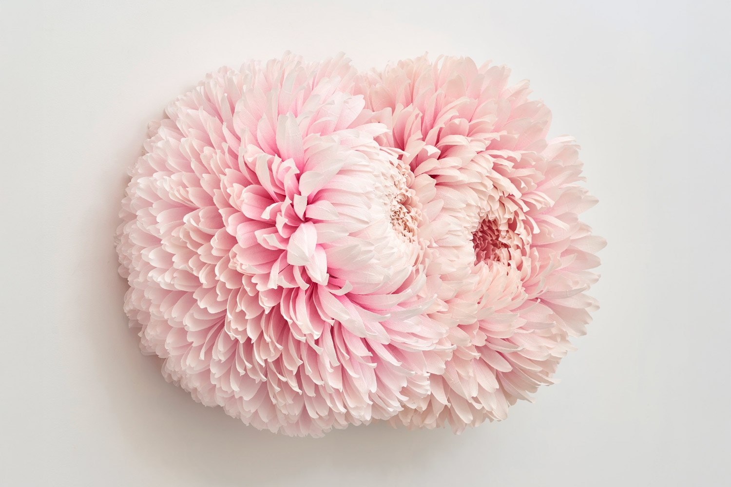 Tiffanie Turner Double headed Chrysanthemum