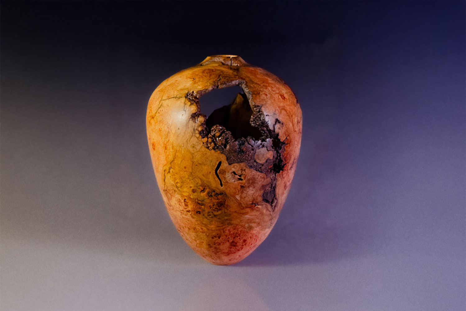 Peter Jacobson Paleomorphic No. 1