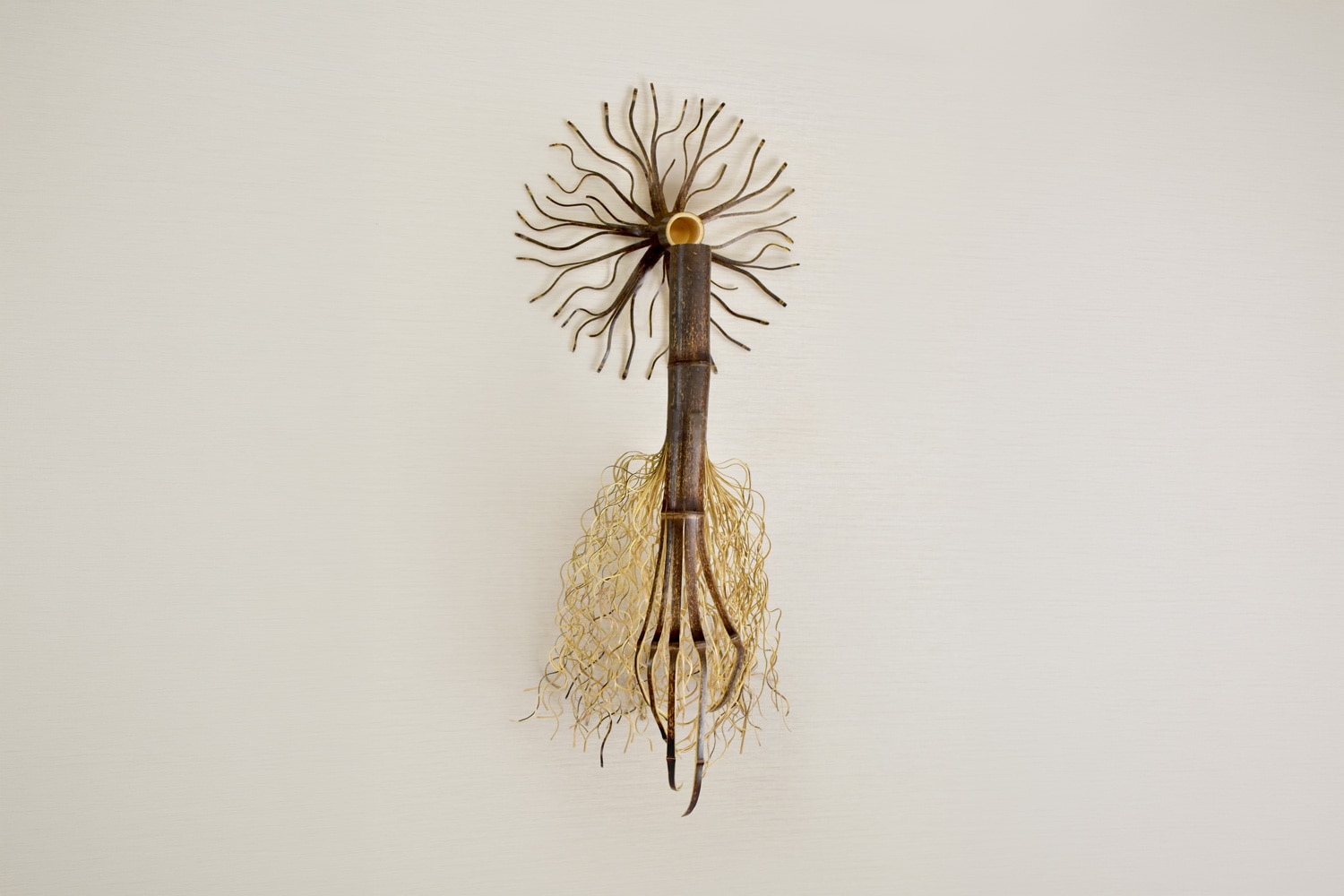 A Sacred Tree